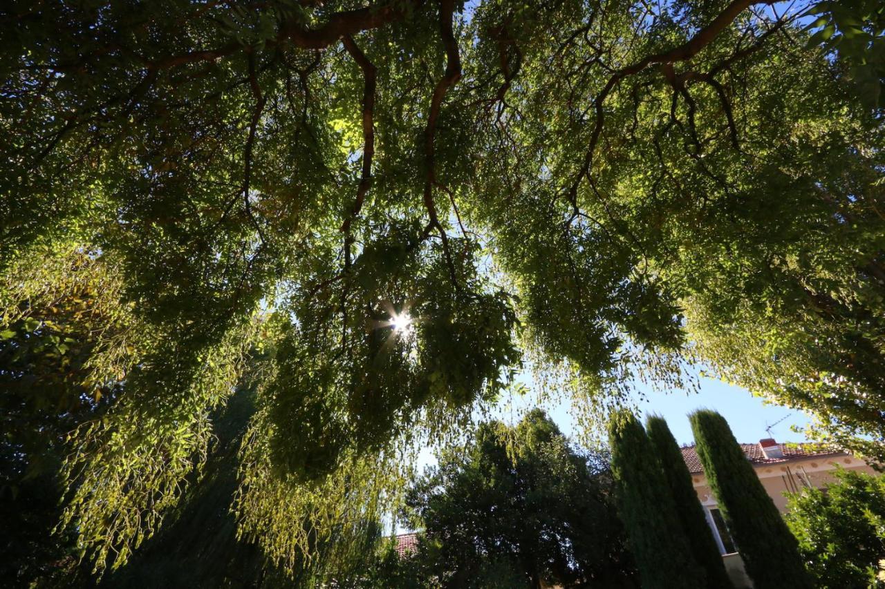 Maison Piloni L'Isle-sur-la-Sorgue Bagian luar foto